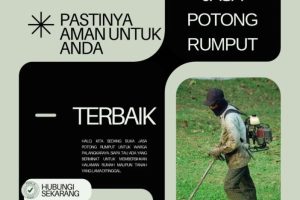 Jasa Tukang Potong Rumput Palangkaraya WA 0821 5251 1941
